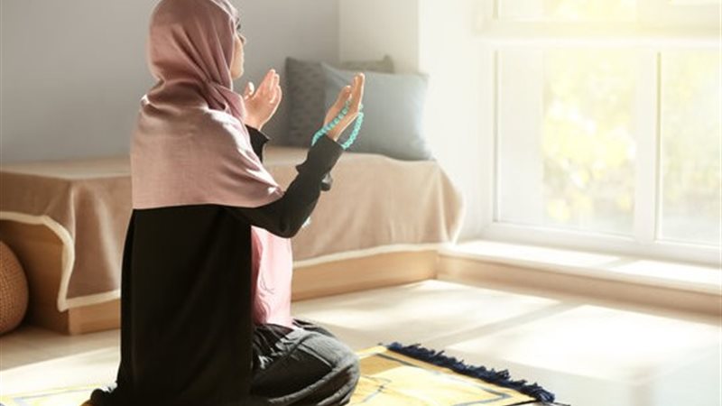 هير نيوز