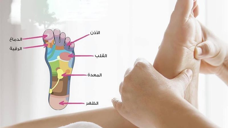هير نيوز