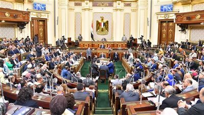 في طلب إحاطة لوزيرة الصحة.. نائبة تحذر من مخاطر عمليات تغيير لون العيون