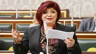  النائبة نورا علي: إطلاق منصة 
