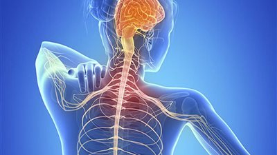 بعد إصابة «لولا فاني».. استشاري: مرض الـ«MS» يُصيب جهاز المناعة بـ«الجنون»| فيديو