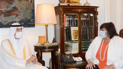 مصر والإمارات يبحثان سُبل تعزيز التعاون في «الفكر والفن» 
