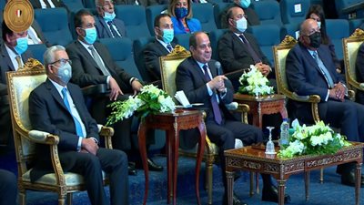 الرئيس السيسي: 2011 كانت إعلان شهادة وفاة للدولة| فيديو