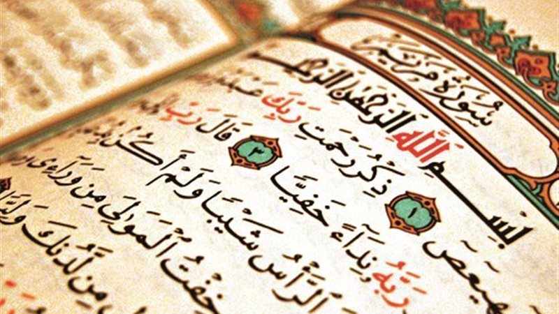 هير نيوز