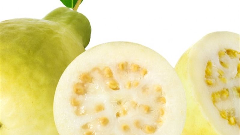 الجوافة