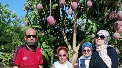 الوفاء عنوانها.. سيدة مصرية تتبرع لزوجها بكليتها | فيديو