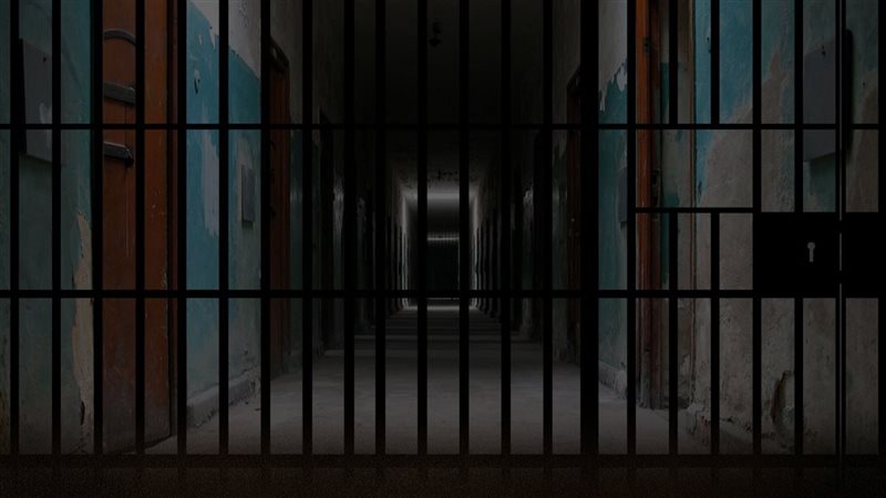 هير نيوز