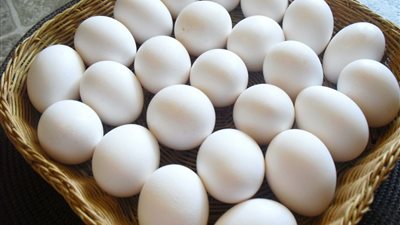 أسعار البيض في الأسواق اليوم الأربعاء 29 سبتمبر