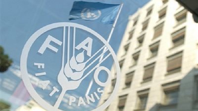 «فاو»: ارتفاع أسعار الغذاء العالمية للشهر الثاني على التوالي