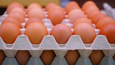 أسعار البيض اليوم الأحد
