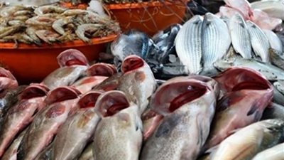 أسعار السمك اليوم الأحد والبلطي بـ 18 جنيهًا