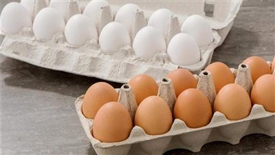أسعار البيض اليوم الثلاثاء