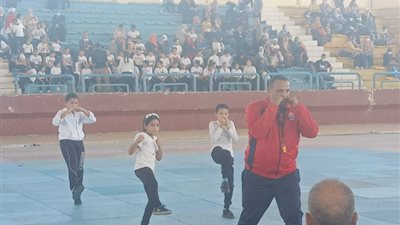 الكونغ فو ينضم للمسيرة العالمية.. انطلاق أول اختبار لنظام الديوان في مصر