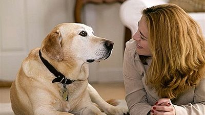 الأمن يكشف حقيقة إجبار زوج لزوجته على 