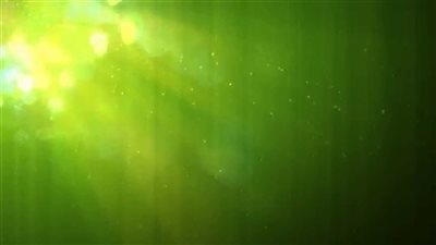 تفسير حلم اللون الأحضر في المنام للعزباء والمتزوجة والمطلقة