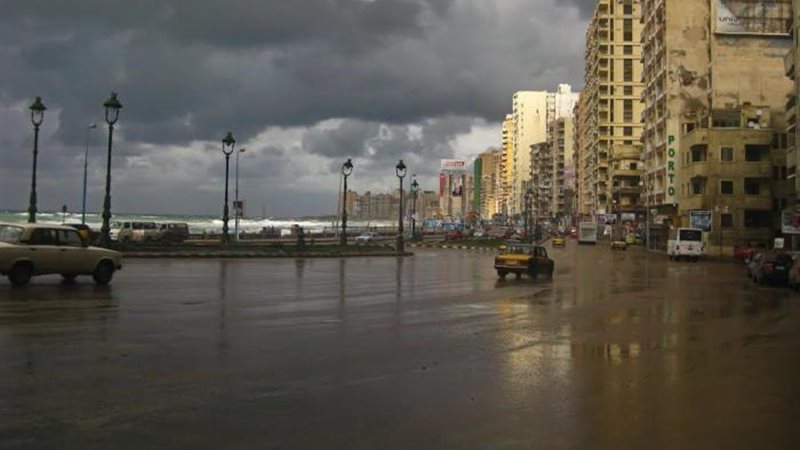 هير نيوز