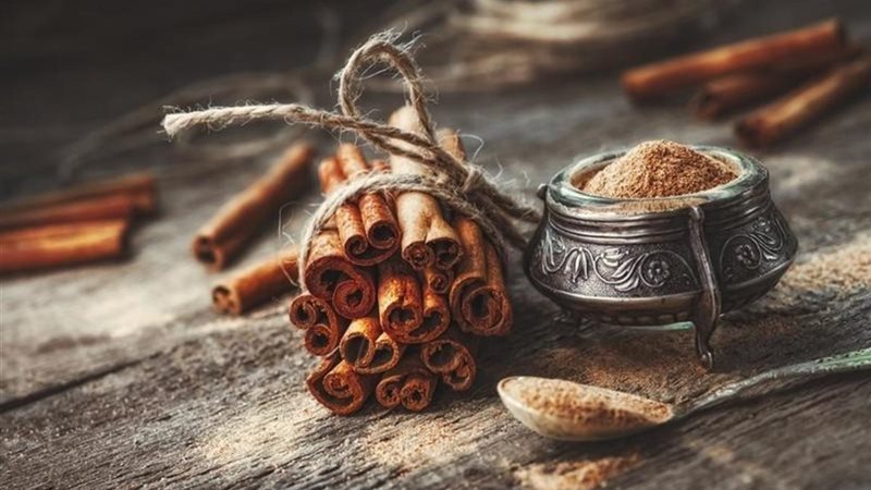 هير نيوز