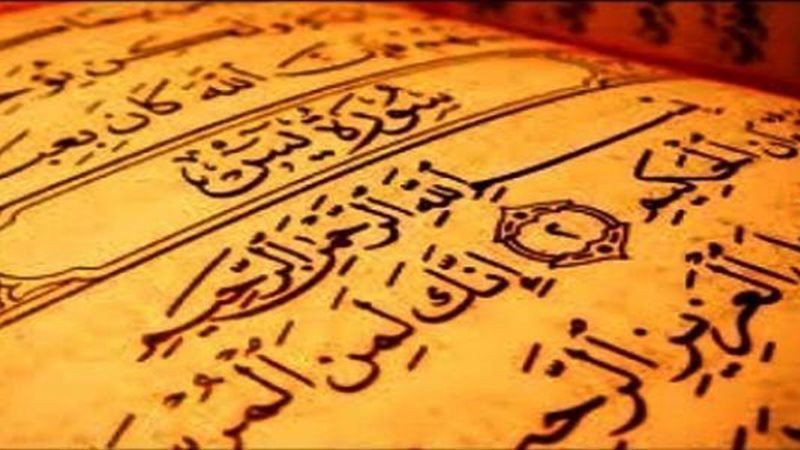 هير نيوز