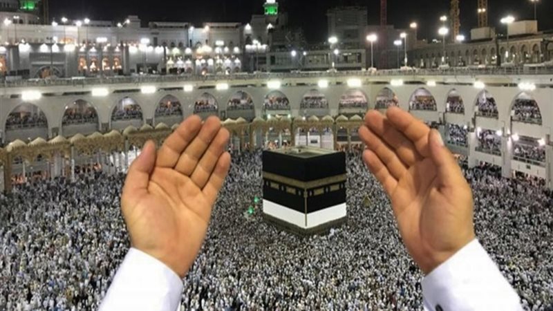 هير نيوز