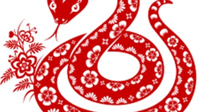 حكماء لكن يتملكهم العند.. صفات برج الأفعى الصيني 