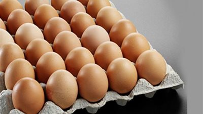 سعر كرتونة البيض اليوم الثلاثاء