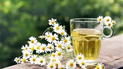 شاي البابونج الحل السحري لإنقاذك من السكري.. اعرفي إزاي