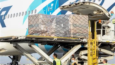 الصحة: مصر نجحت في توفير جميع أنواع لقاحات كورونا