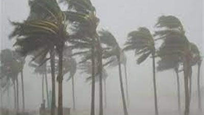 رياح شديدة واضطراب في حركة الملاحة.. أخبار الطقس اليوم