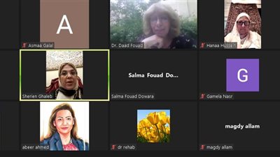 7 ملفات مهمة على طاولة اجتماع لجنة الصحة بالقومي للمرأة 