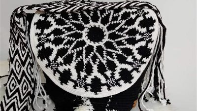 بيطرية بدرجة فنانة.. ابتكارات مدهشة لريم جابر في الكروشيه والتابستري