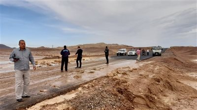 عقارب وثعابين وسيول وثلوج.. ماذا يحدث في أسوان؟  