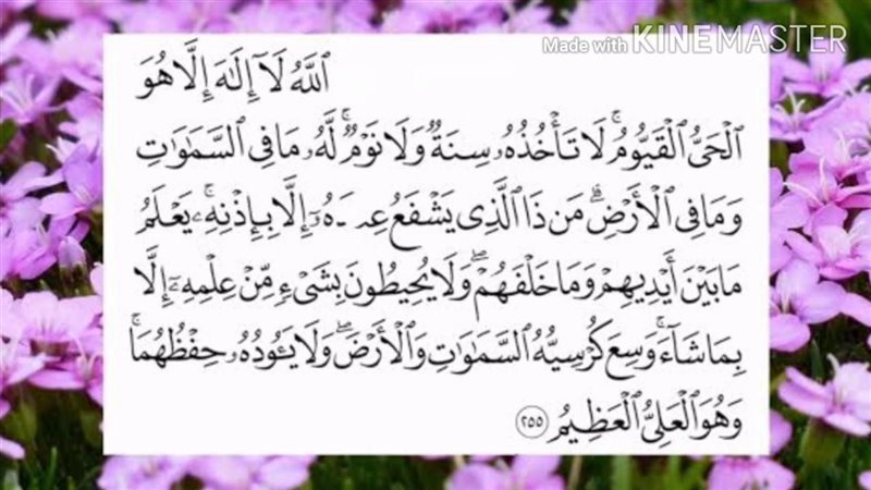 هير نيوز