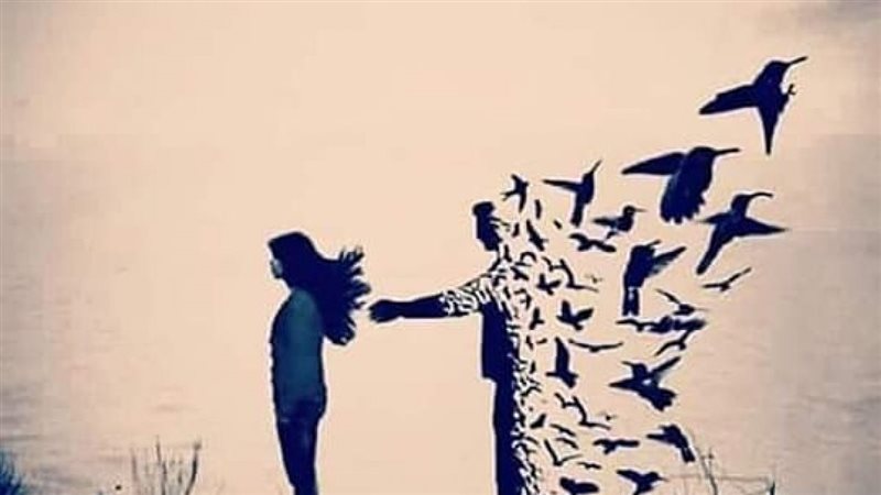 هير نيوز
