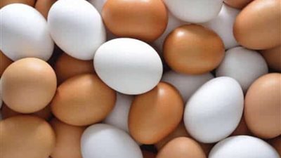 أسعار الدواجن البيضاء والحمراء اليوم الخميس.. «البيض» يواصل الانخفاض