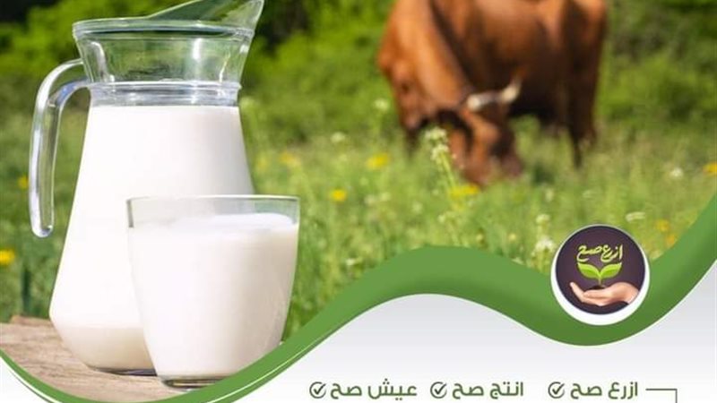هير نيوز