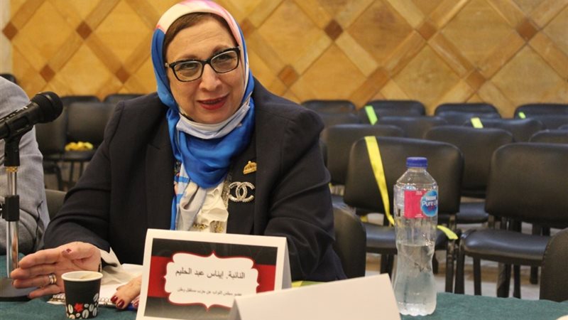 النائبة إيناس عبدالحليم
