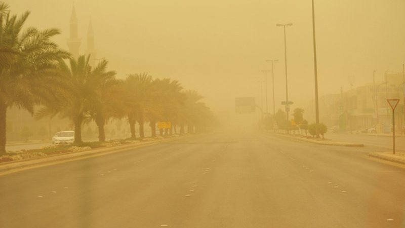 هير نيوز