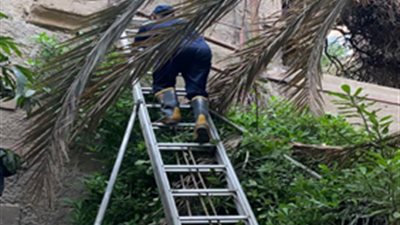 «معرفتش تفتح الباب».. أمن القاهرة يستجيب لاستغاثة مُسنة 