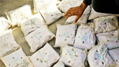 عصابة الهوانم لتجارة الكيف.. الأم: «جوزي السبب» والابنة: «وقفت ناضورجية»