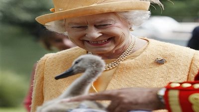 8 وظائف غريبة موجودة في قصر باكنجهام للعائلة المالكة فقط