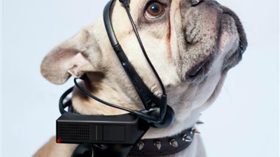 أول كتاب في العالم من تأليف «كلب»