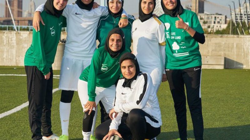 هير نيوز