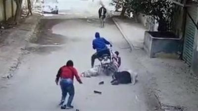 سيدة الشهامة بعد تكريم الرئيس السيسي: لولاه مكنش حد حس بيا