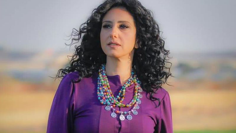 هير نيوز