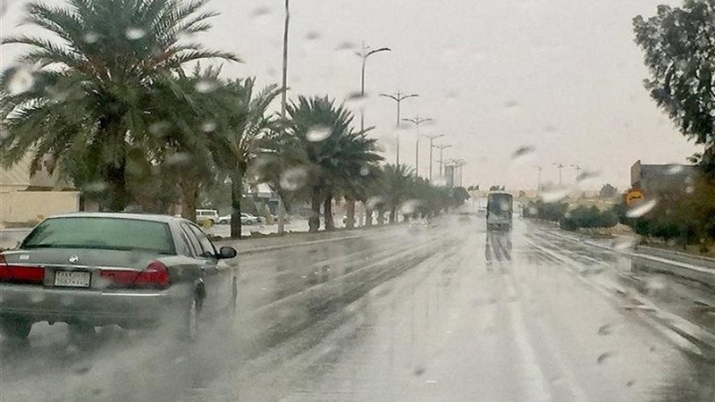هير نيوز