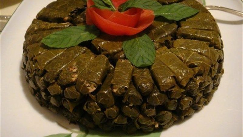 هير نيوز