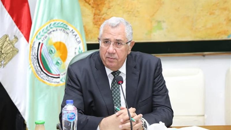 هير نيوز