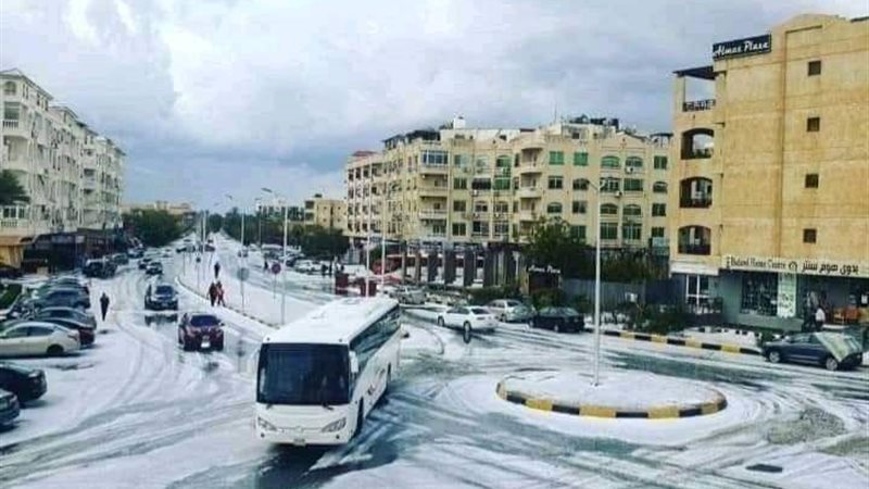 هير نيوز