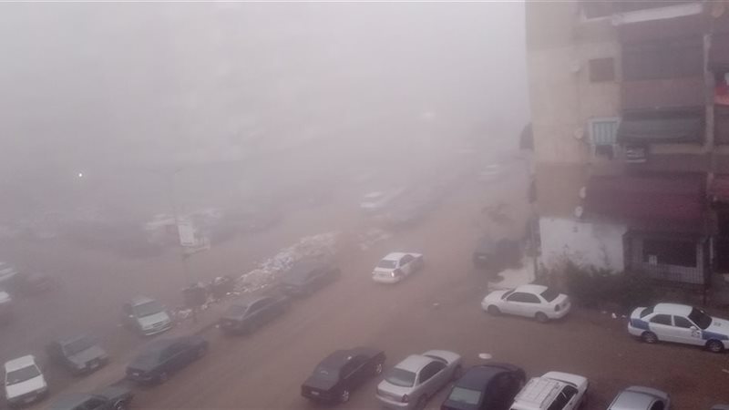 هير نيوز