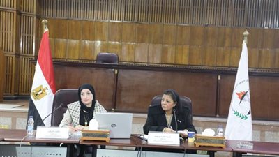 9 توصيات من «القومي للبحوث الاجتماعية والجنائية»لمواجهة الانتحار في مصر